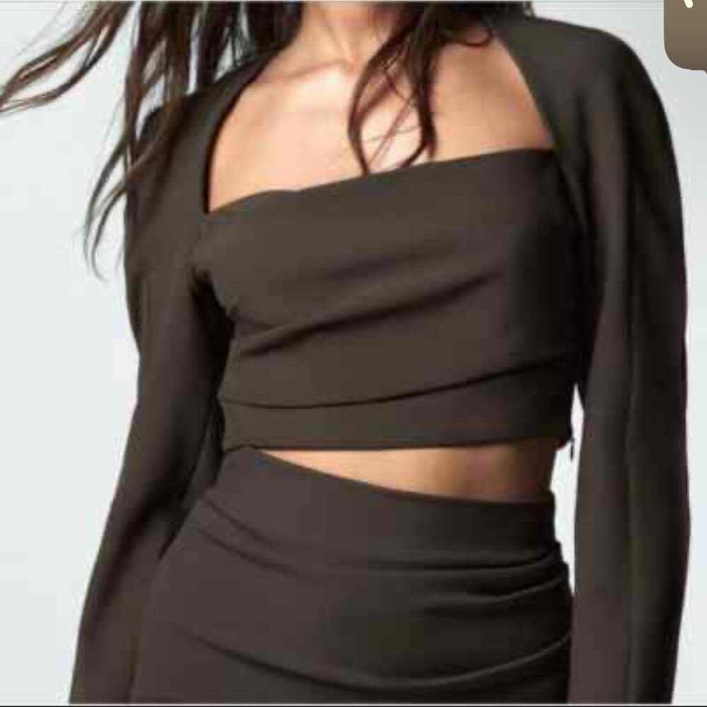 Zara Long Sleeve, Squared Neck Crop Top (XS)